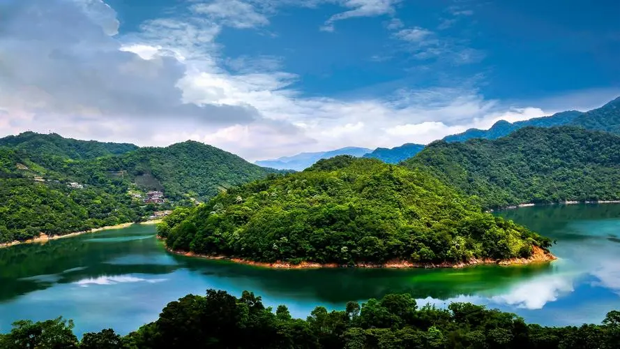 高端智能自动化